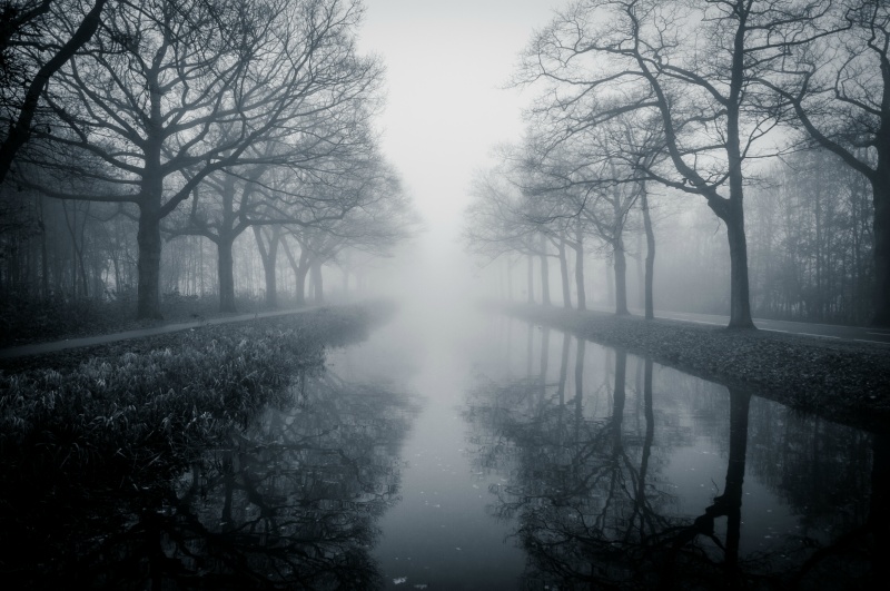 Kanaal in de mist